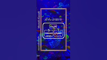 قرأن كريم #تلاوة_خاشعة #السعودية #مصر #اكسبلور #ترند #duet #لايك