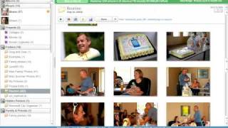 Exploring the Picasa interface