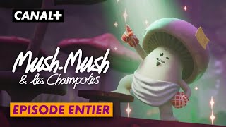 Mush-Mush et les Champotes - ÉPISODE ENTIER \