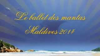 Le Ballet Des Mantas - Lankan - Kani - Maldives - 25 Octobre 2014