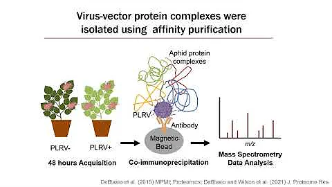 Leveraging proteomics as a hypothesis... - Michell...