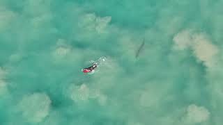 Shark sees red surfboard. you wont believe what happens next!