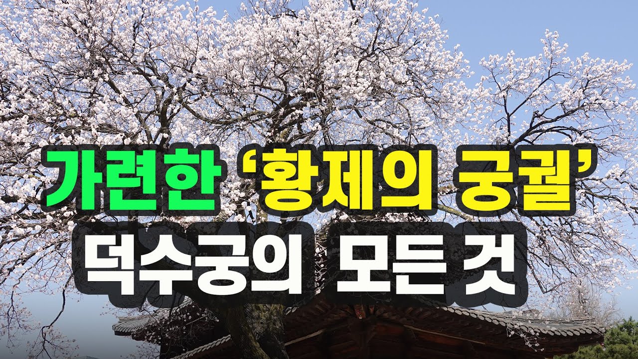 [덕수궁 몰아보기] 국왕이 여인의 발 아래 무릎 꿇었던 궁궐
