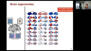 OHBM 2023 | 3000 | Talk | James Pang | Geometric constraints on human brain function…