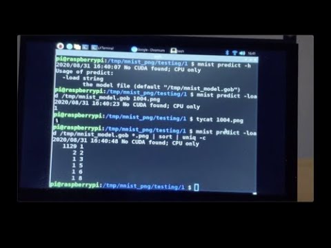 Programming Deep Learning Systems using GoTorch on Raspberry Pi
