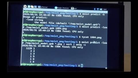 Programming Deep Learning Systems using GoTorch on Raspberry Pi