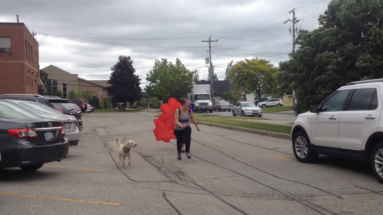 Parachute Run | Pop Events Teambuilding