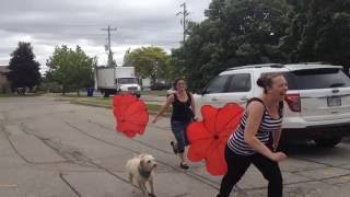 Parachute Run | Pop Events Teambuilding