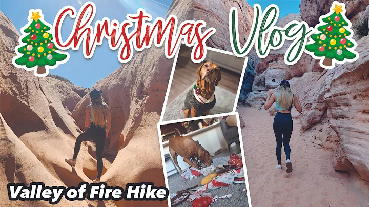 SPEND CHRISTMAS IN VEGAS WITH ME // ARIES GIFTS + VALLEY OF FIRE HIKE