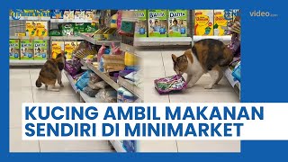 Ulah Kucing Ambil Makanan Sendiri di Minimarket, Warganet: Pantes Kasirnya Minus