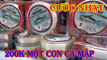 200K Là Có Ngay Một Cuộn Cước Nhật Xịn Sò Câu Sông Hồ Và Câu Giải