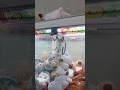 상어카피바라 몽땅 뽑아오기 #카피바라뽑기 #인형뽑기 #인형뽑기꿀팁 #clawmachine #capybara