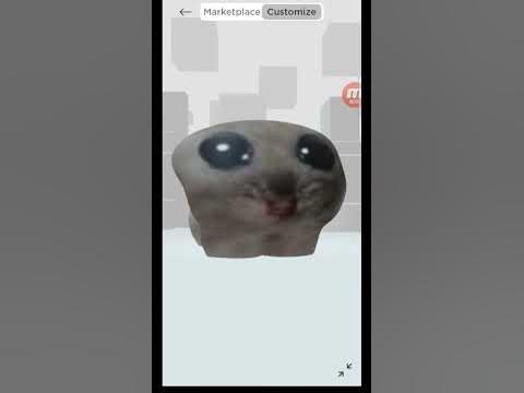 грустный хомяк (мой друг)🥲 - YouTube