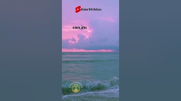 Unveiling the Power of Red: Psychology Behind the Color