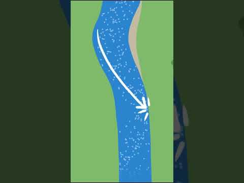Why Do Rivers