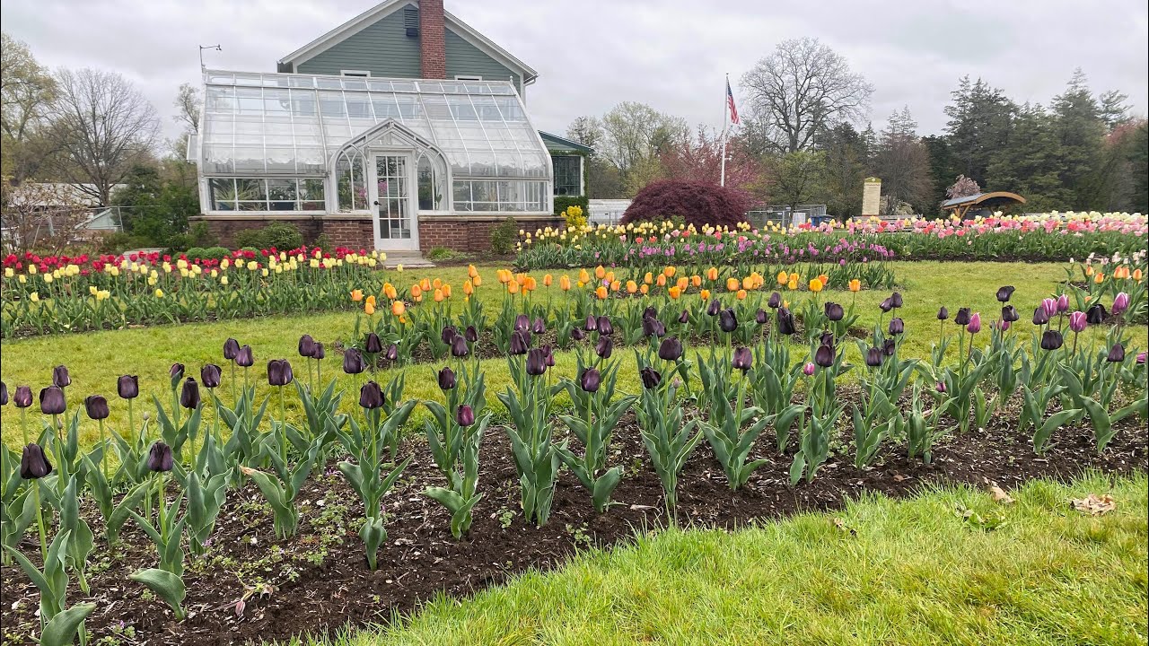 Elizabeth Park and Rose Garden Spring Tour