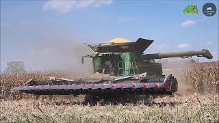 New JD X9 1100 + New Dominoni 16 rows - Team Garavelli - Big corn harvest 2022 - Part 2