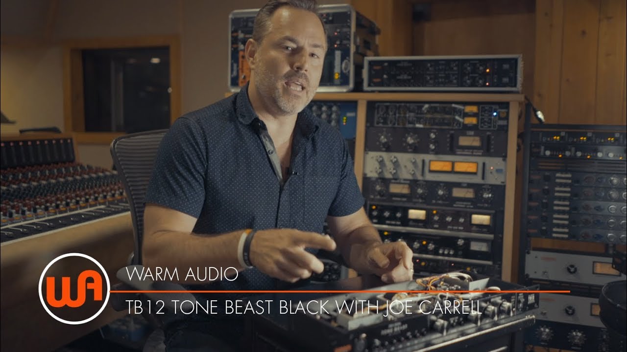 Warm Audio tb12 Tone Beast. Warm Audio tb12 Black. 12 tone