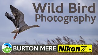 Photographing wild birds at RSPB Burton Mere with my Nikon Z8