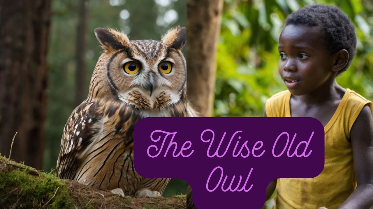 The Wise Old Owl - YouTube