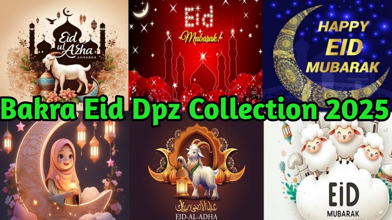 Eid ul adha dp 2025 | Eid ul adha Mubarak dp | Bakra Eid dp ,images, Wallpaper | Eid ul adha status