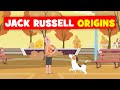 Jack russell origins 5 quick facts