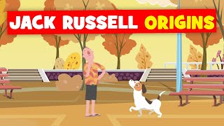 Jack Russell Origins (+5 Quick Facts!) by DoggOwner 494 views 4 years ago 4 minutes, 7 seconds