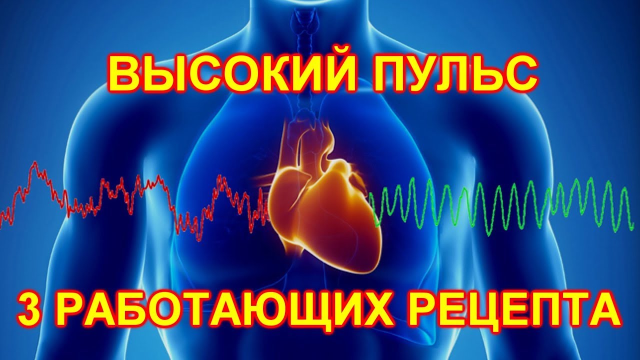 Высокий Пульс 3 работающих Рецепта как Снизит Народными средствами в Домашних условиях