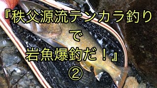 『秩父源流テンカラ釣りで岩魚爆釣』② 『秩父源流テンカラ釣りで岩魚爆釣』②