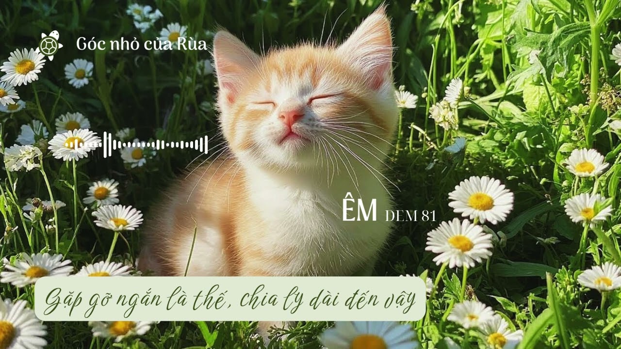 [Audio] Gặp gỡ ngắn là thế, chia ly dài đến vậy | ÊM 