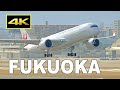 [4K] Plane spotting on February 4, 2022 at Fukuoka Airport in Japan / 福岡空港 / Fairport