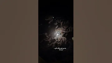 تامر عاشور ولا سامع ولا راضي بدون موسيقى 