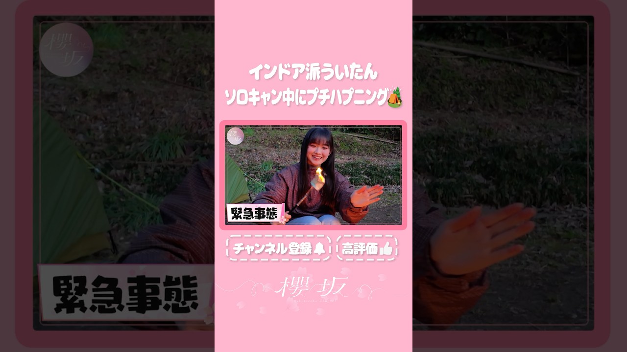 【⬆️本編はコチラ⬆️】ういたんのソロキャンプで蘇る燃えマシュマロ！⛺【ダイジェスト 】#shorts #櫻坂チャンネル