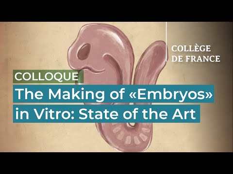 The Making of "Embryos" in Vitro: State of the Art (3) - Denis Duboule (2023-2024)