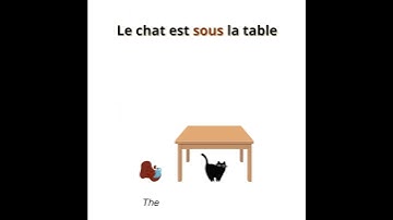 Prepositions "sur (on)" and "sous (under)" with the cat