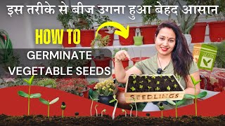 इस तरीके से बीज उगाना हुआ बेहद आसान✅ How to germinate vegetable seeds by Garden of Kavita 645 views 1 month ago 14 minutes, 10 seconds