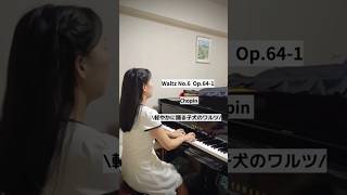 🎼本日の1曲:ショパン| Today's Piano: Chopin #chopin #pianist