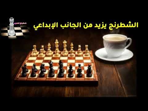 الشطرنج و علم النفس (3) /فوائد كبيرة للشطرنج على دماغ الإنسان