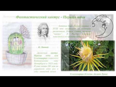 Ботанические причуды, литературные изыски и фантазия Мариуса Петипа