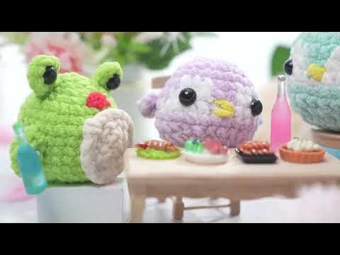 Crochet Kit for Beginners 