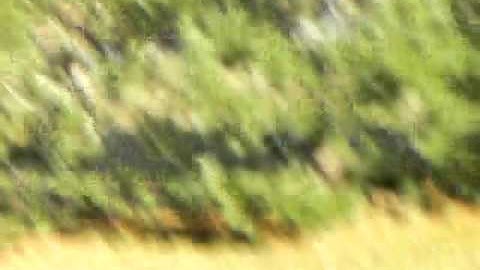 2008 Proto SLG Shooting Video (FOR SALE)