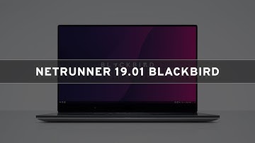 Netrunner 19.01 Blackbird - See What