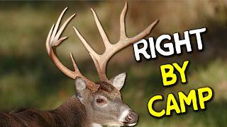Why Giant Bucks Hide in Plain Sight