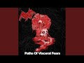 Paths of visceral fears