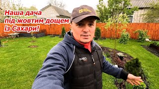 Our dacha under the yellow rain from the Sahara! Vlog video, April 2024.