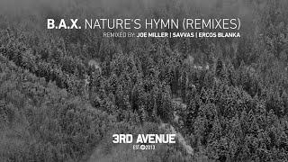 B.A.X. - Nature's Hymn (Joe Miller Remix) [3rd Avenue]