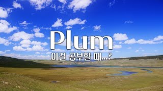 【𝐏𝐥𝐚𝐲𝐥𝐢𝐬𝐭】 공부할 때 집중하기 안 좋은 플레이리스트 / Plum 음악 모음 (중간광고 X)