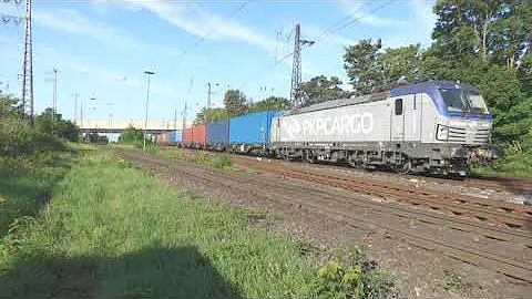 PKP 193 501 / EU46-501 / 15 sep 2023 / Duisburg Hochfeld.