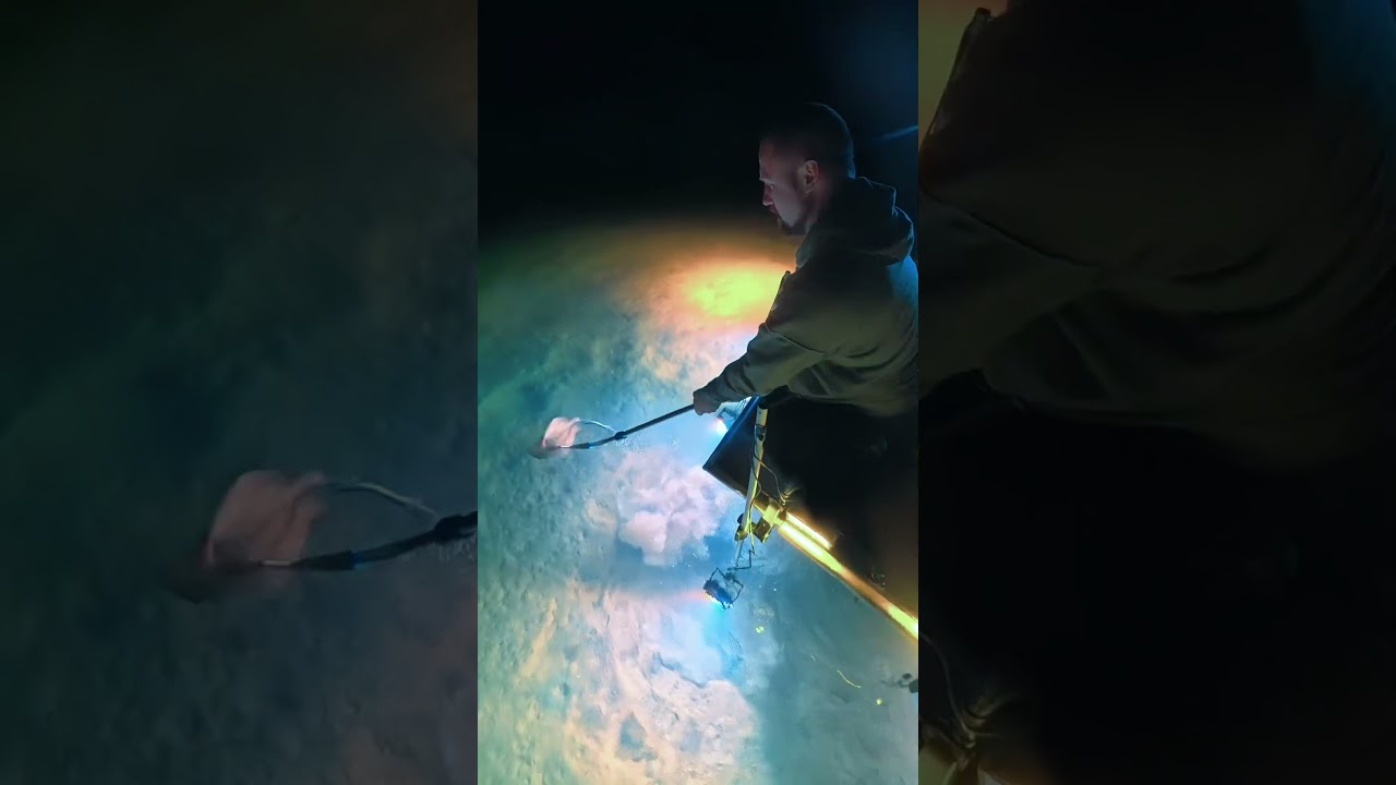 Скатовые лучи ночью!!!