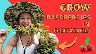 Growing Raspberries In Containers: The Complete Guide